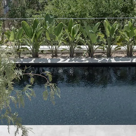 Alta House 3* بيغور